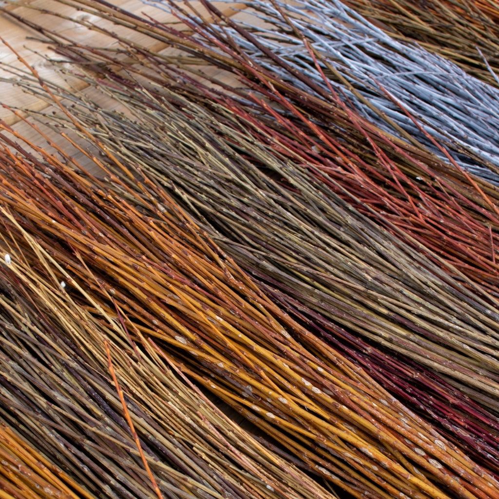 Brown (Dried) Basketry Willow
