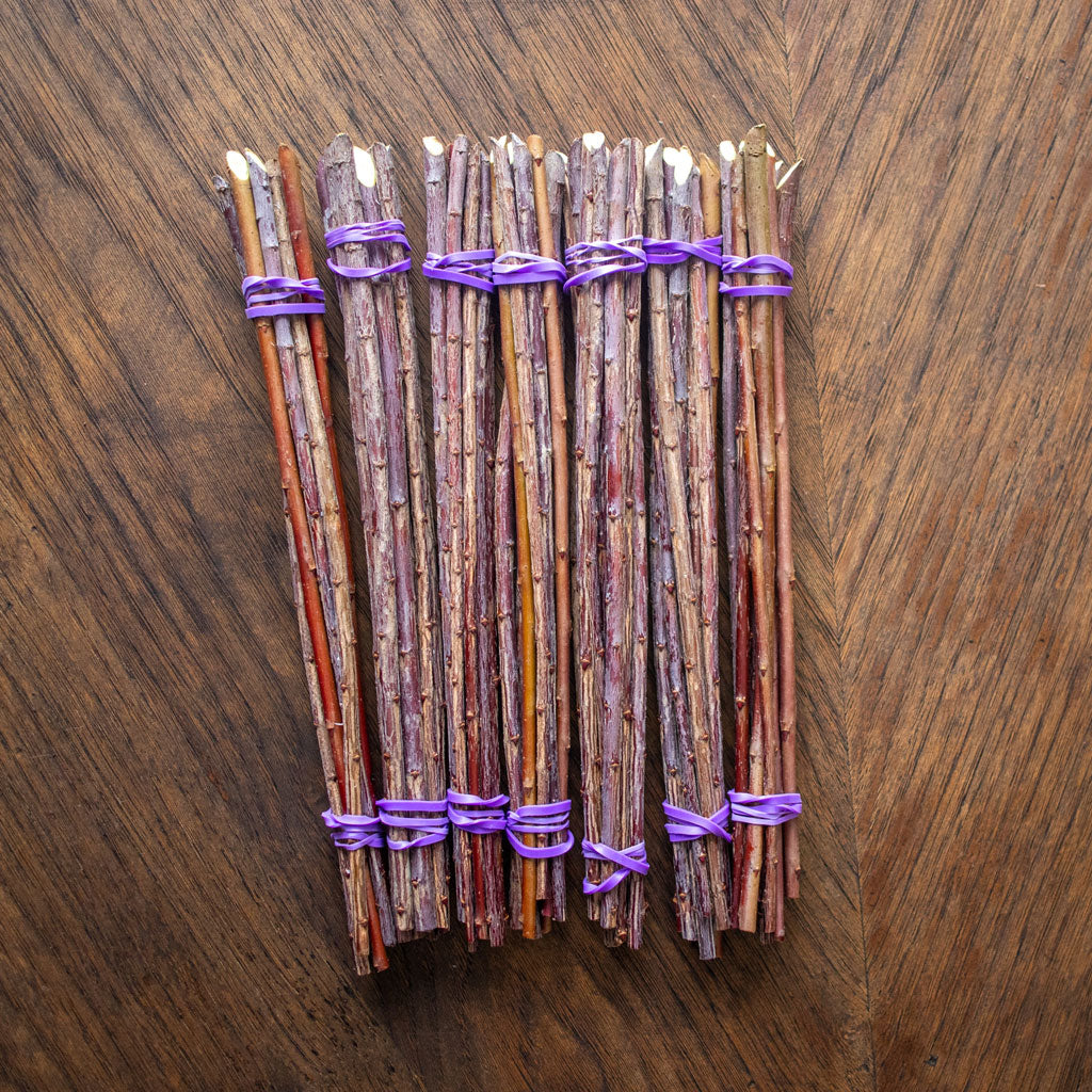 Living Willow Cuttings for Propagation