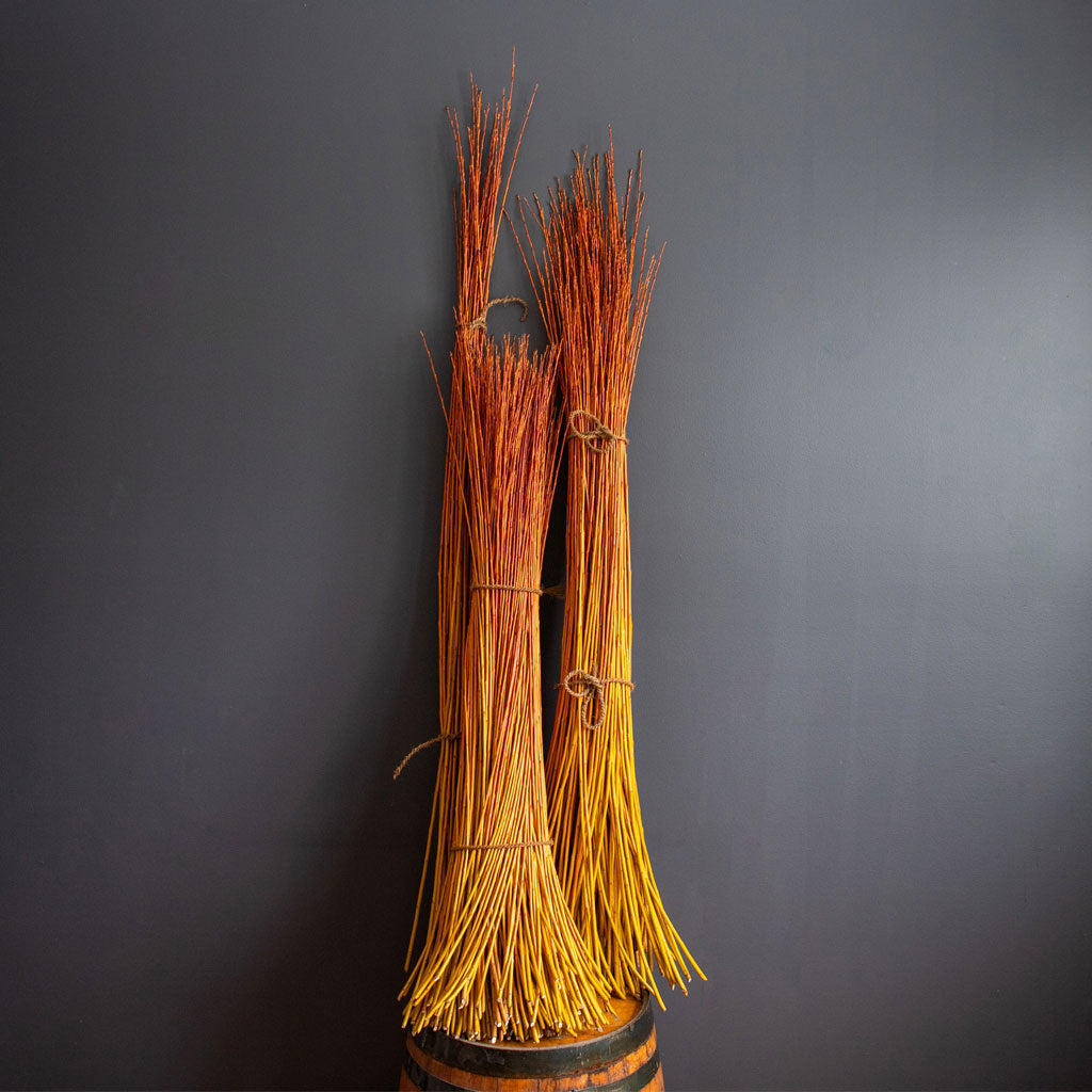 Living Willow Rods