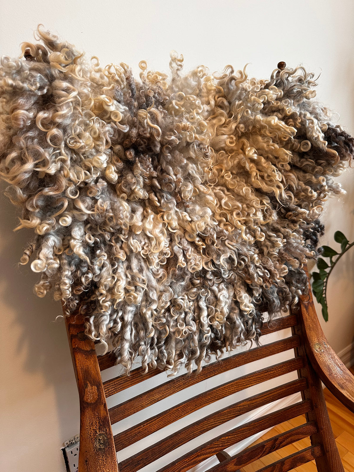 Cotswold (Cream/grey, Round-S)- IMPERFECT