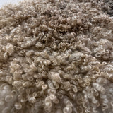 Cotswold (Cream, curly/dense-XL)
