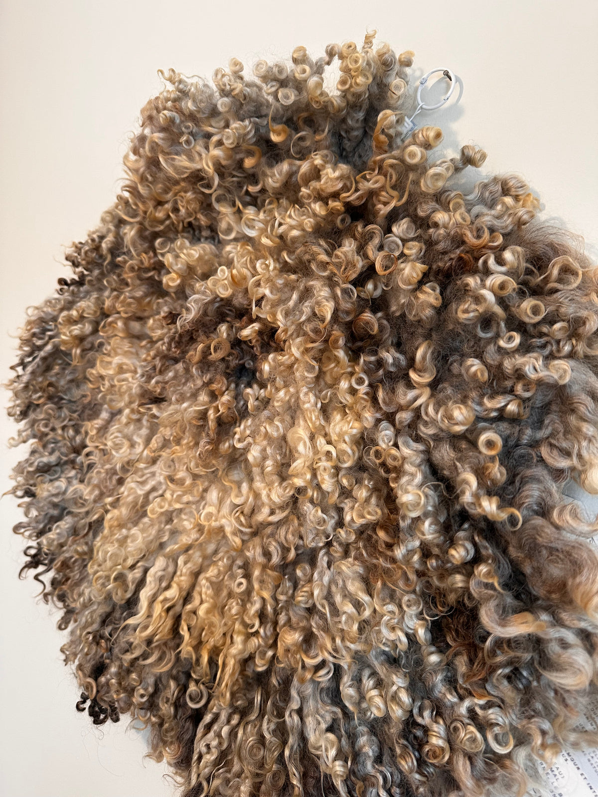 Cotswold (Cream/grey, Round-S)- IMPERFECT