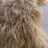 Racka (Crème, mèches longues - L)