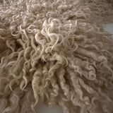 Teeswater (White Ringlets- L)