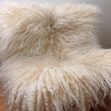 Valais Blacknose