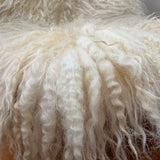 Valais Blacknose