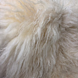 Valais Blacknose