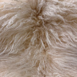 Valais Blacknose