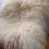 Valais Blacknose