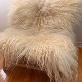 Valais Blacknose
