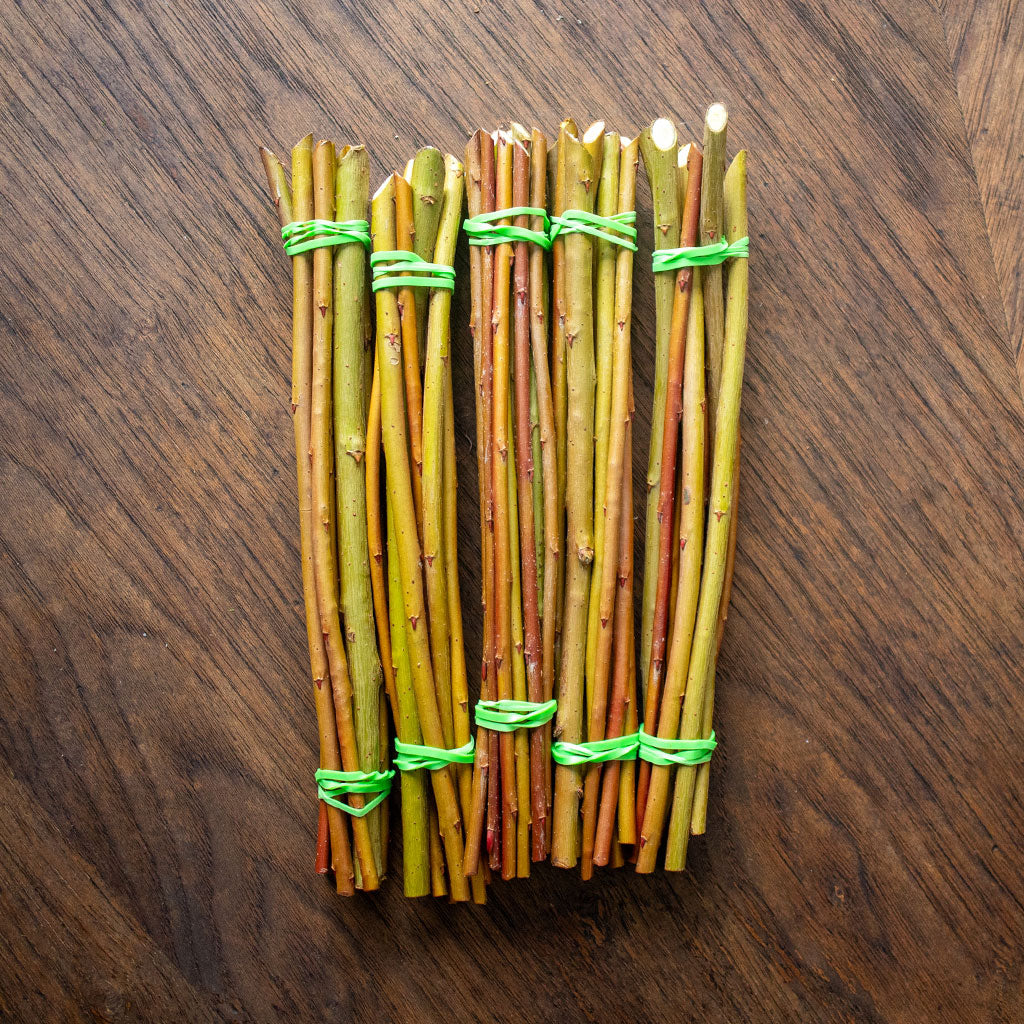 Green Edna (Salix Purpurea) - Dormant Cuttings