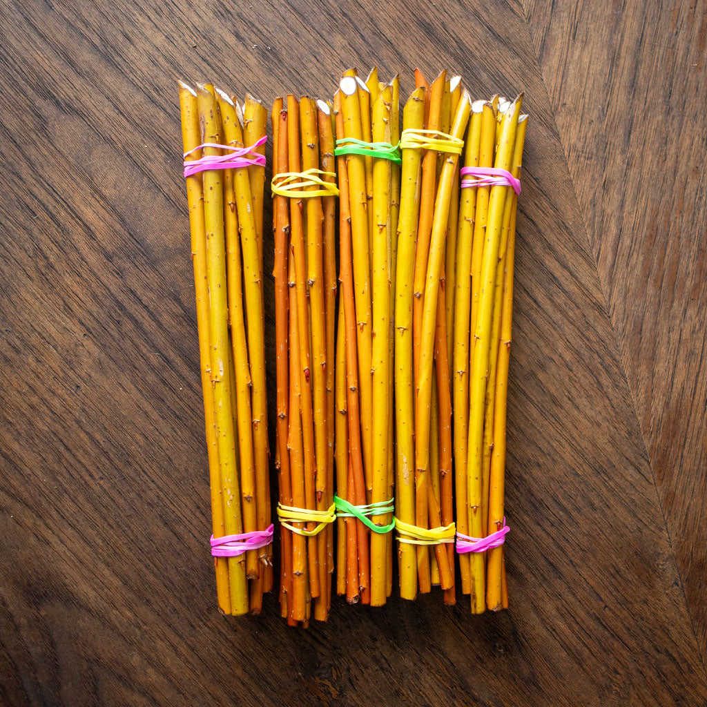 Golden Willow (Salix Alba Vitellina) - Dormant Cuttings