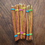 X Americana (Salix Purpurea) - Boutures dormantes